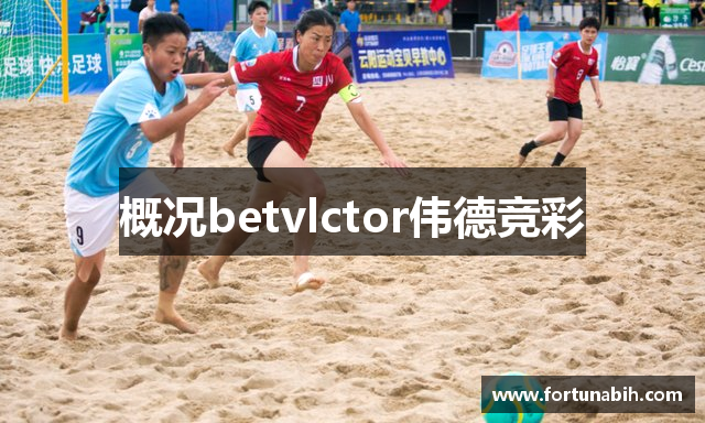概况betvlctor伟德竞彩